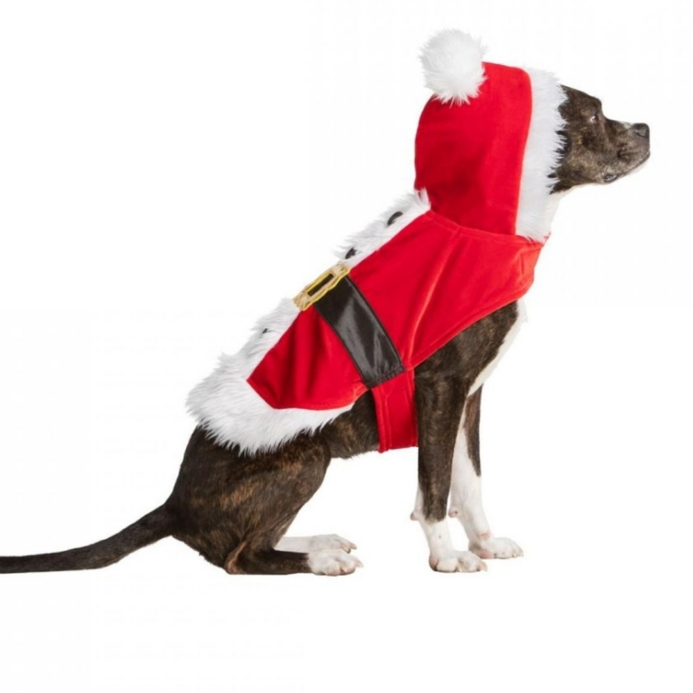 Dog Santa costume - Medium